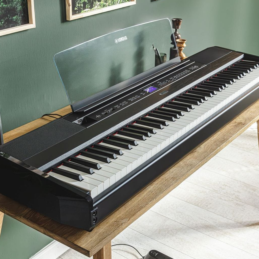 Pianos digitales (sin mueble)