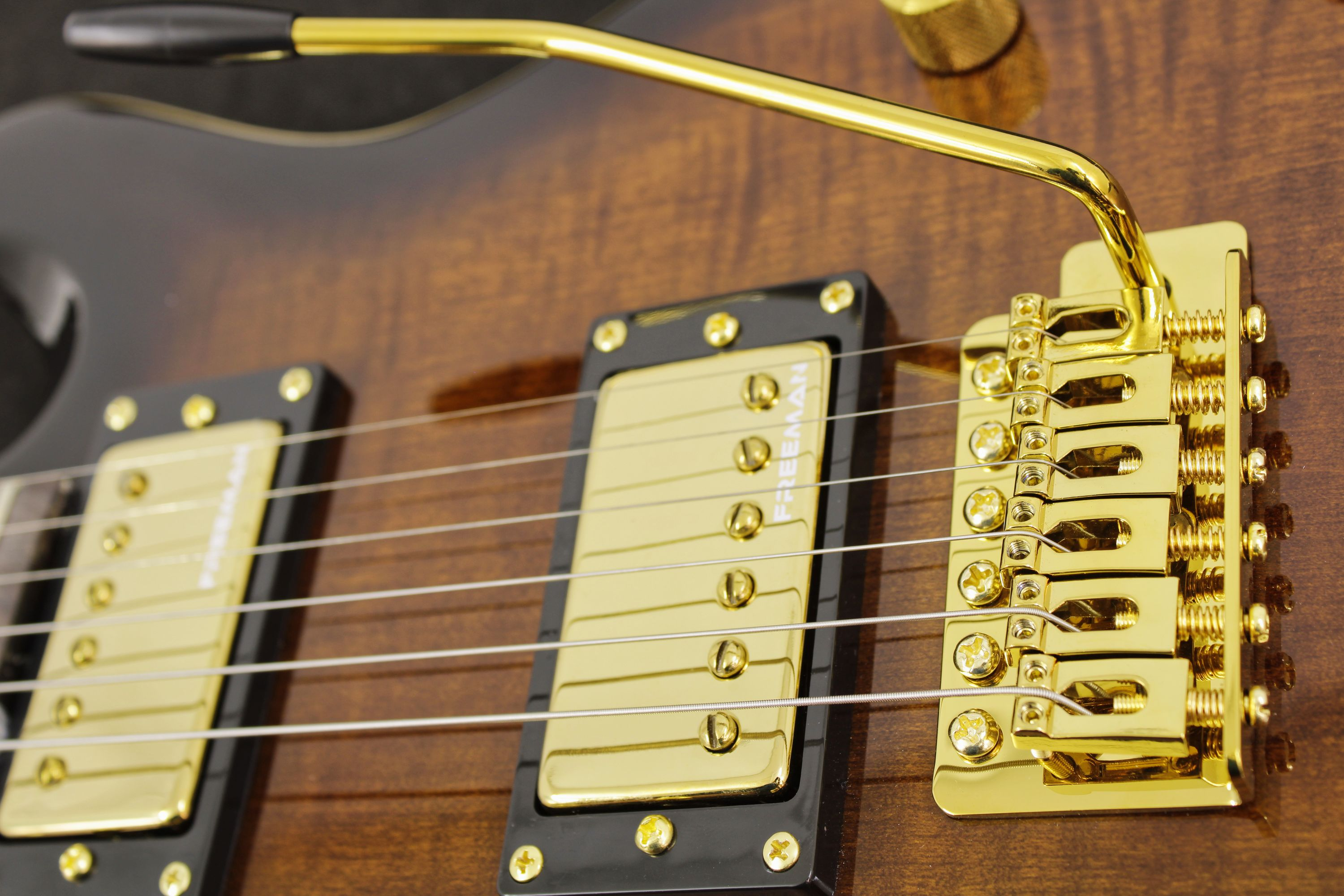 Guitarra Eléctrica Sky Series Freeman