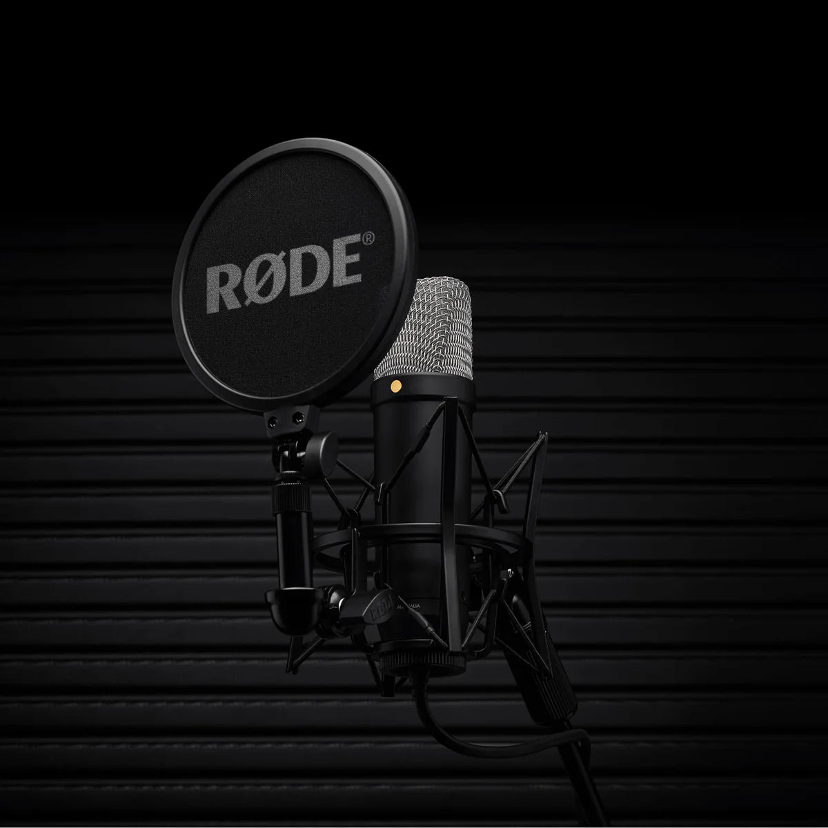 Micrófono Condensador de Estudio, XLR-USBC NT1 5th Generation BK Rode