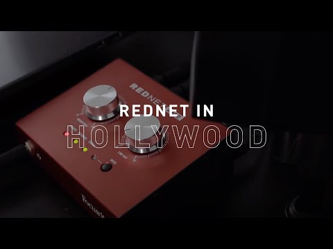 Amplificador de Audífonos Estéreo Dante Pro RedNet AM2 Focusrite