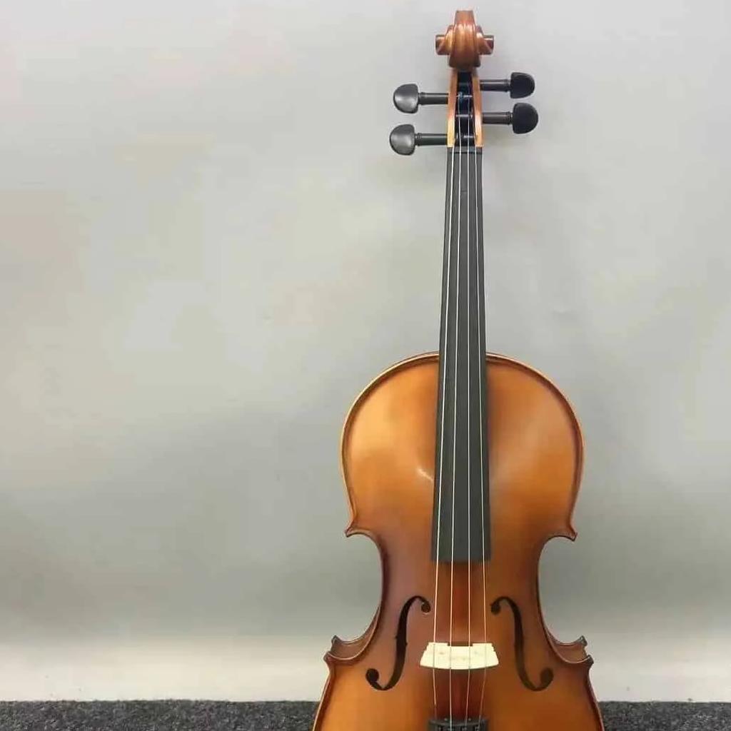 Cuerdas para orquesta