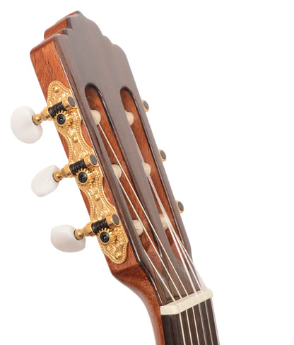 Guitarra Clásica 424Z Ziricote Almansa