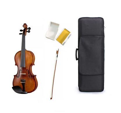 Violín Livorno Profesional Liv-100