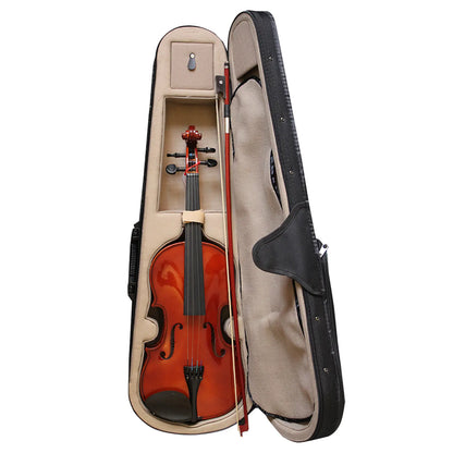 Violin Livorno Solid Ebony 4/4 Liv-50
