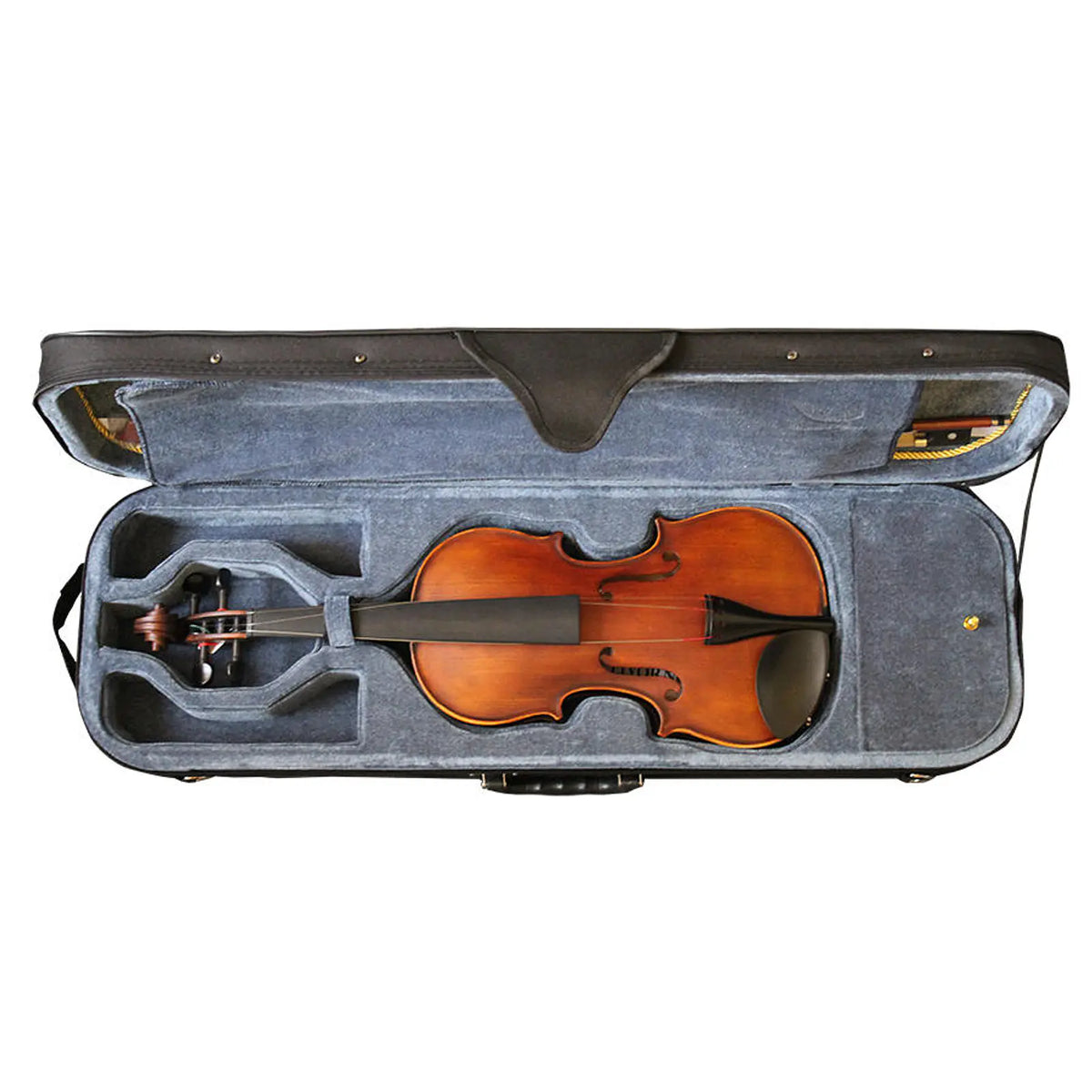 Violín Livorno Profesional Liv-100