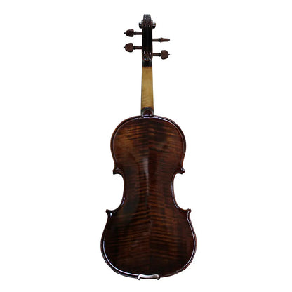 Violín 4/4 LIV300-1 Livorno