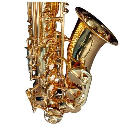 Saxofón Alto Estudiante HAS100 Hoffer