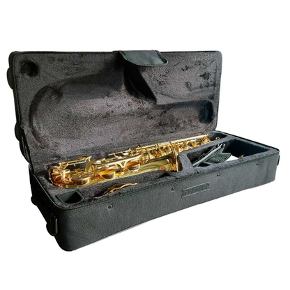 Saxofón Alto Estudiante HAS100 Hoffer