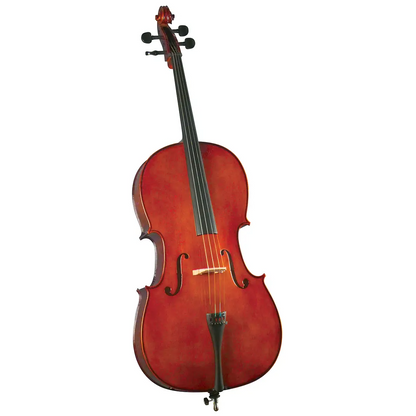Violoncello Outfit 4/4' HC-100 Cervini