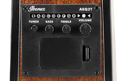 Guitarra Electroacústica PF16WCE Ibanez