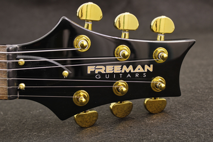 Guitarra Eléctrica Sky Series Freeman