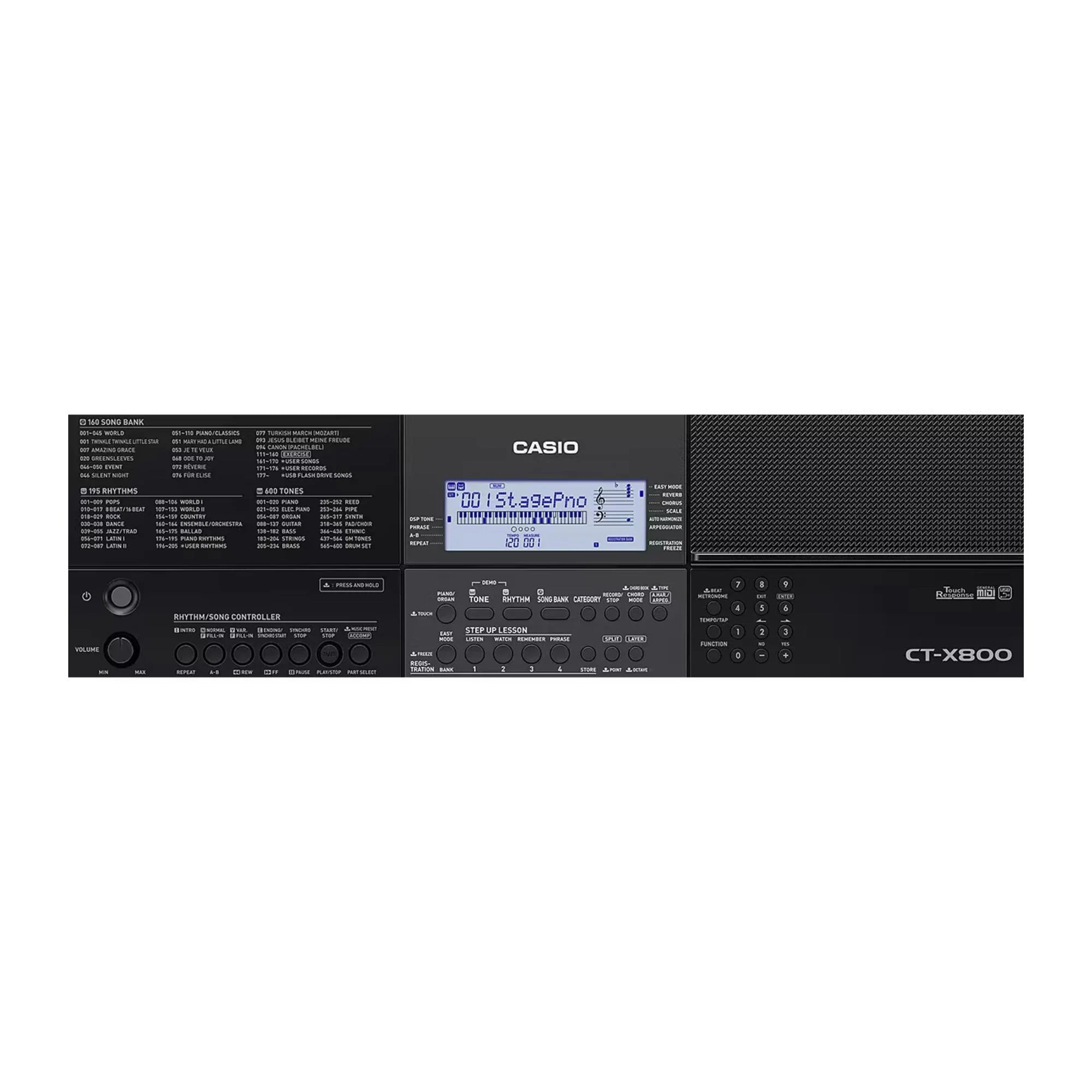 Teclado Arranger CT-X800 Casio