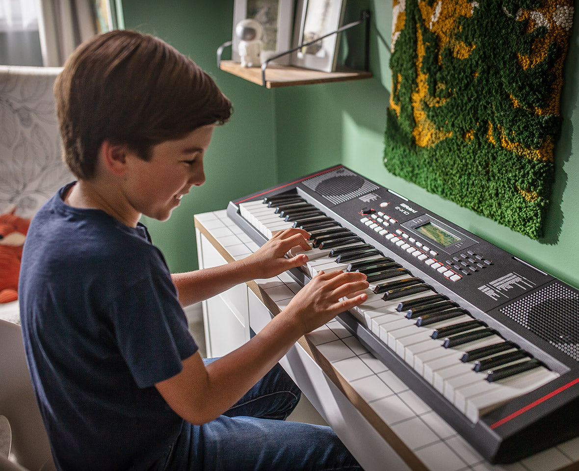 Teclado Personal E-X10 Arranger Roland