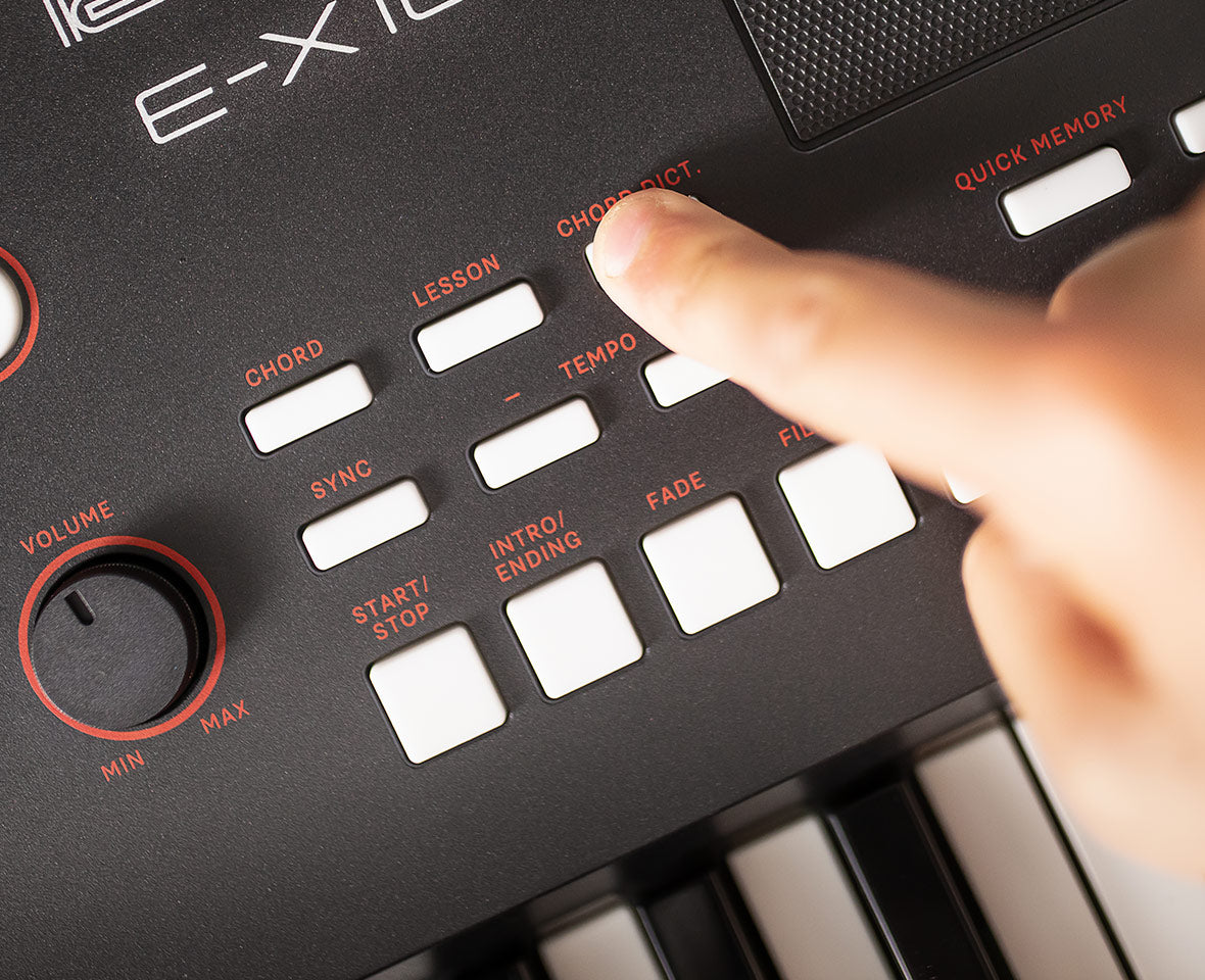 Teclado Personal E-X10 Arranger Roland
