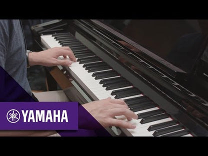 Clavinova CSP-150B + Banqueta Black Mate Yamaha