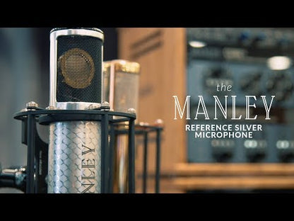 Micrófono De Condensador a Tubo